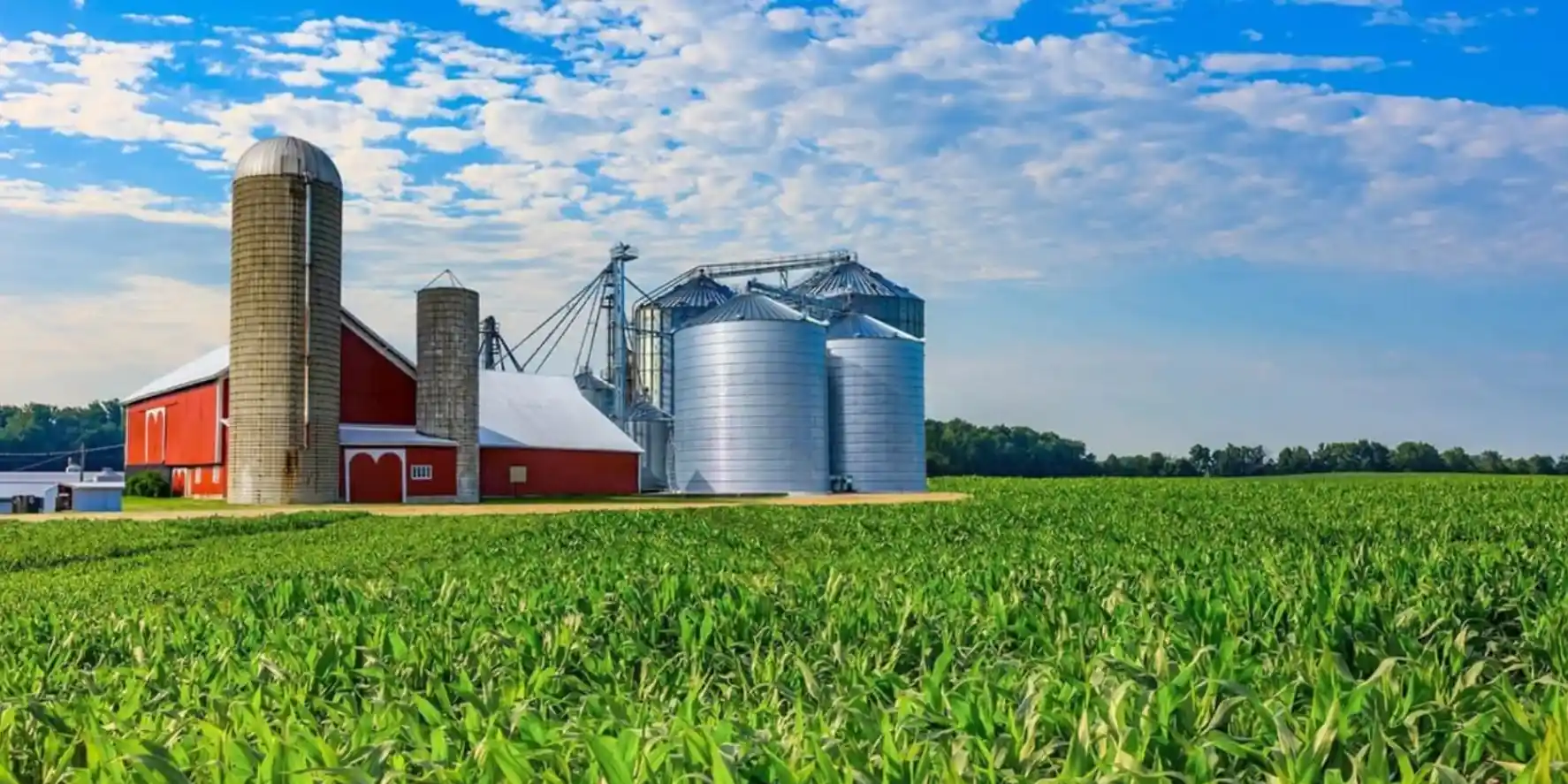 2 Fertilizer